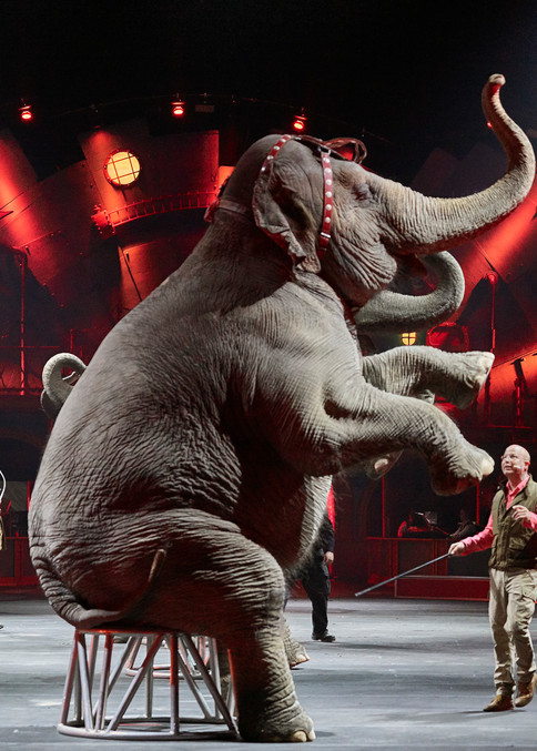 Ringling Bros. and Barnum & Bailey Circus, also known as the Ringling Bros. Circus, Ringling Bros. or simply Ringling was an American traveling circus company billed as The Greatest Show on Earth. It and its predecessor shows ran from 1871 to 2017. 