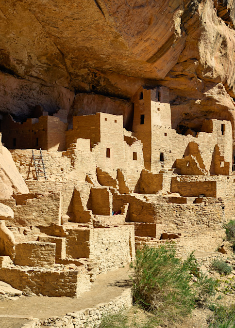 A portion of the Cliff Palace ruins at Mesa Verde National Park in southwestern Colorado's Montezuma County.  Cliff Palace is the largest cliff dwelling in North America.  Tree ring dating from logs used in the complex indicates that construction an
