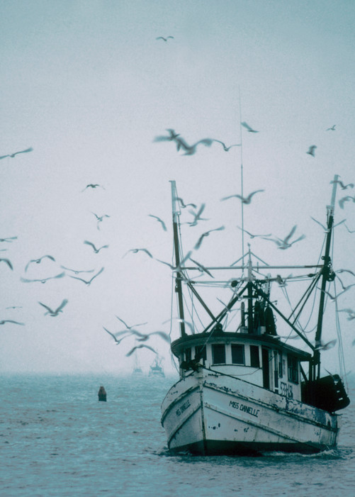 "Miss Daniel" Shrimp Fishing Boat in the Fog
