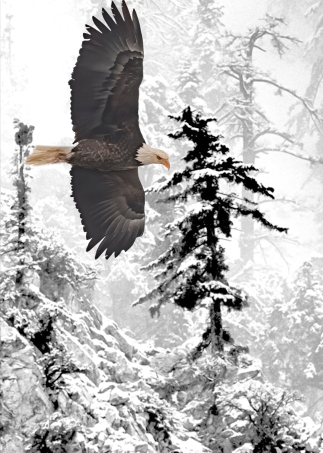 Winter Returns Photography Art | Art Beyond Control