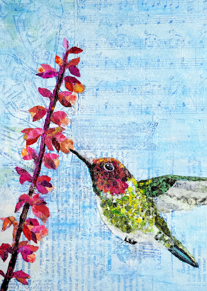 Backyard Birds: Mr. Anna's Hummingbird Art | Poppyfish Studio