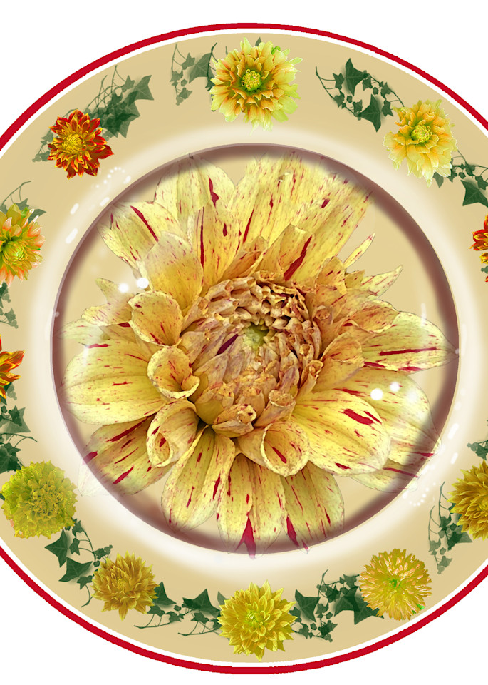 Red And Yellow Dahlia Plate  Art | Art from the Soul
