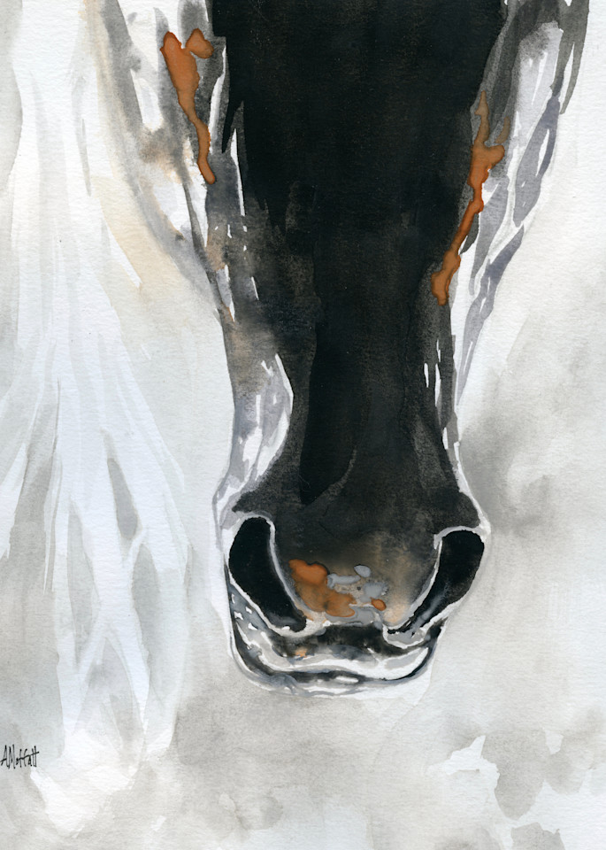 Horse Nose Watercolor Painting- Giclee Art Print- by April Moffatt
