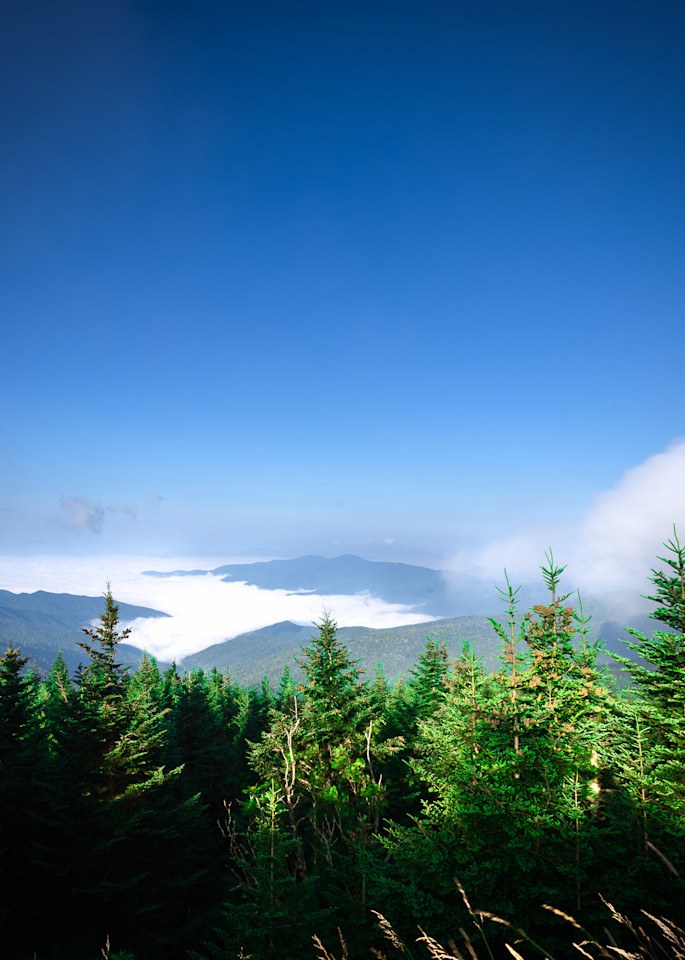 Wannabe Naturalist Clingmans Dome | Eugene L Brill