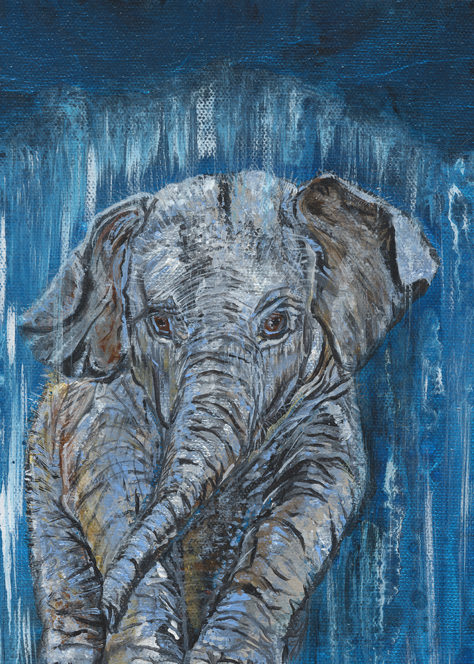 Blue Elephant  475  Art | lisaabbott.art