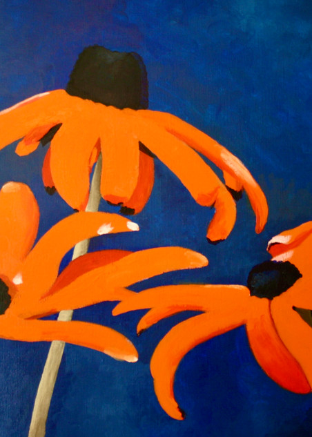 Blue Eyed Susans, (Orange) Art | Spaar Art
