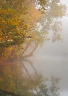Delaware Fall 8 Pan Photography Art | Images of the Ozarks, Photography by Steve Snyder