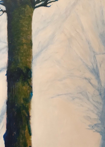 White Fir: The World In A Tree, 2020 Art | Jonathan Mann ART