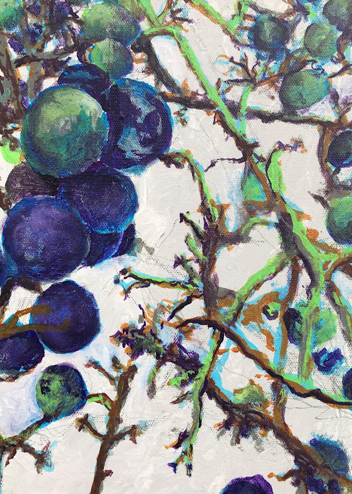 Grape Harvest, 2020 Art | Jonathan Mann ART