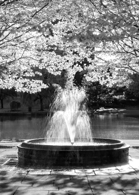 Wade Lagoon Fountain #2