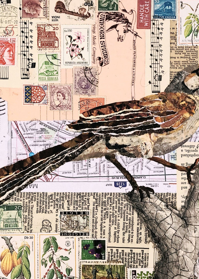 Backyard Birds: Northern Mockingbird Art | Poppyfish Studio