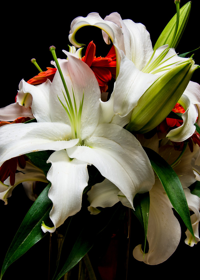 Lily Bouquet Photography Art | Kendall Photography & Fine Art
