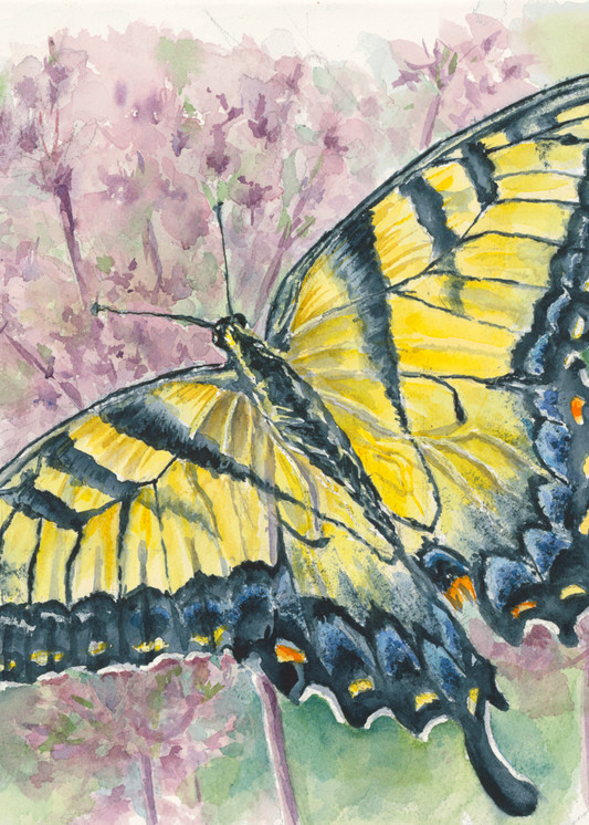 Eastern Tiger Swallowtail Butterfly Art | Cathy Poulos Art