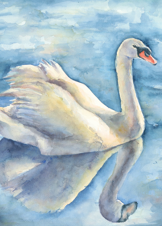 Majestic Swan Print Art | Cathy Poulos Art