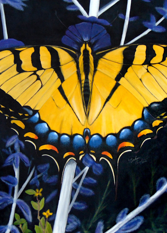 Swallowtail Butterfly Art | IMDArtist Barbara Andrews