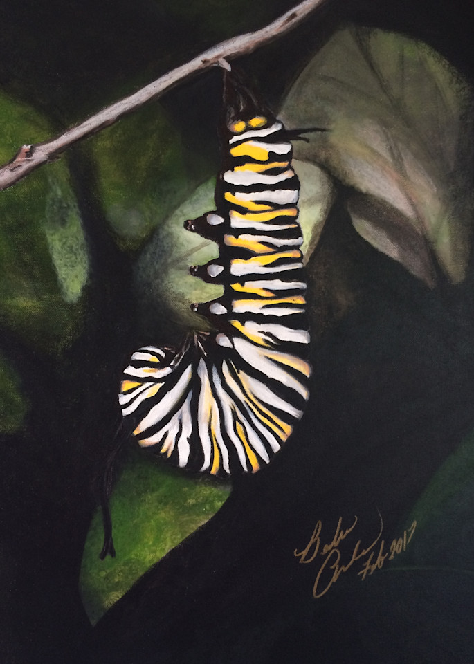Caterpillar  Art | IMDArtist Barbara Andrews