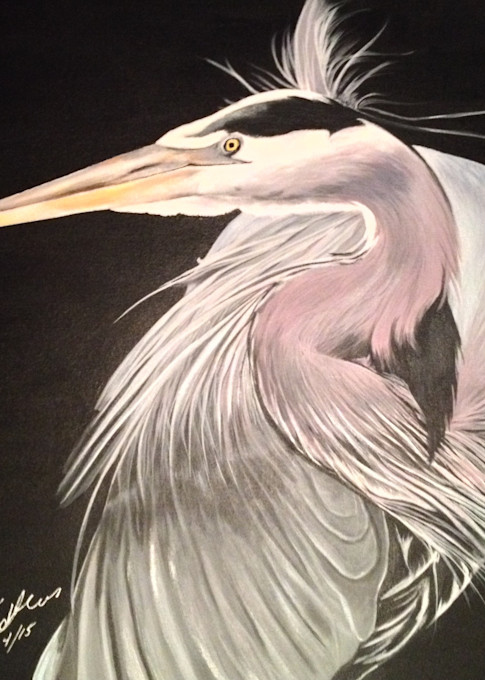 Grey Heron Art | IMDArtist Barbara Andrews