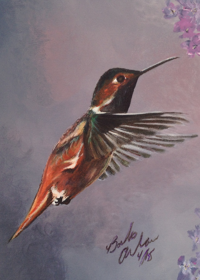 Hummingbird On Lavender Art | IMDArtist Barbara Andrews