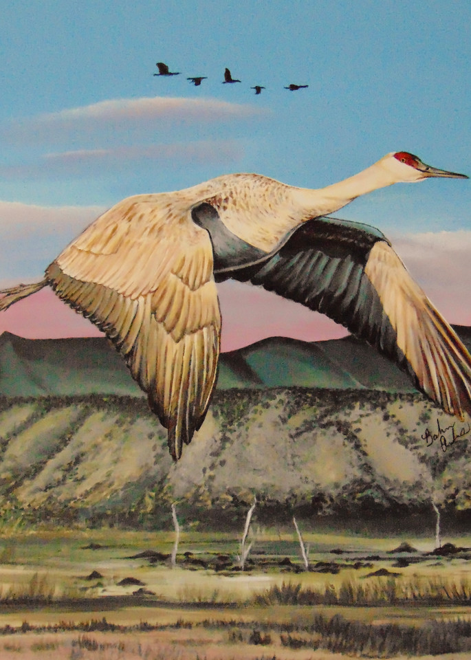 Sandhill Crane Over The Bosque Art | IMDArtist Barbara Andrews