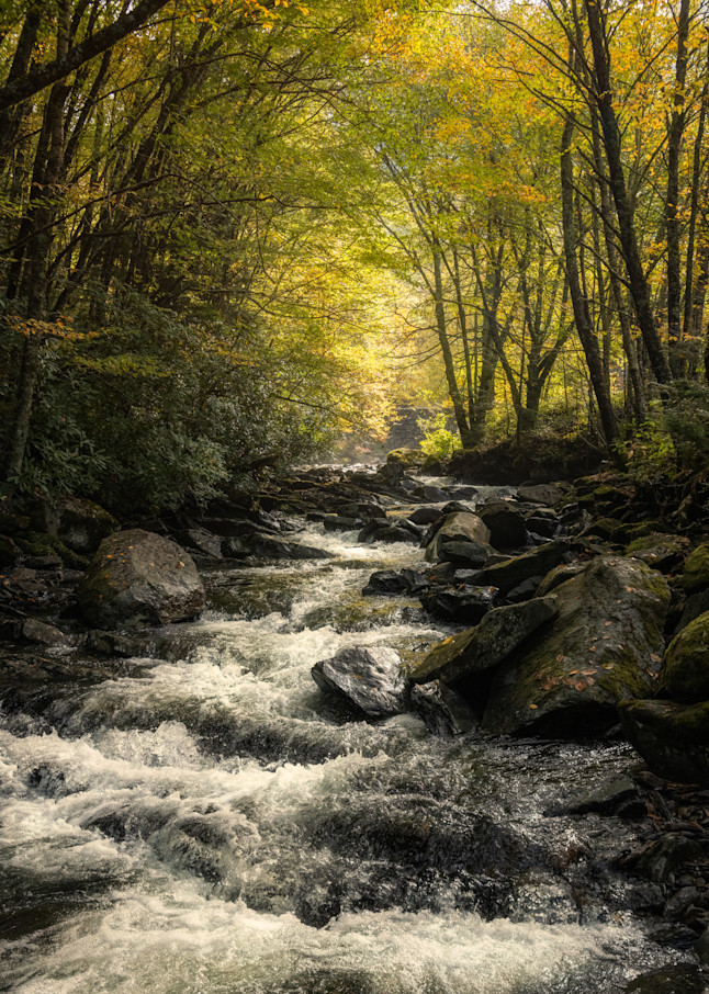 An Autumn Stream In The Smoky Mountains