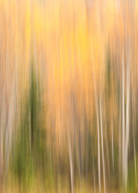 Autumn colors impressionistic photo.
