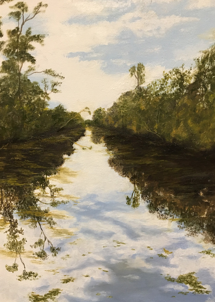 Morning In The Achafalaya Swamp Art | cherylbiggs