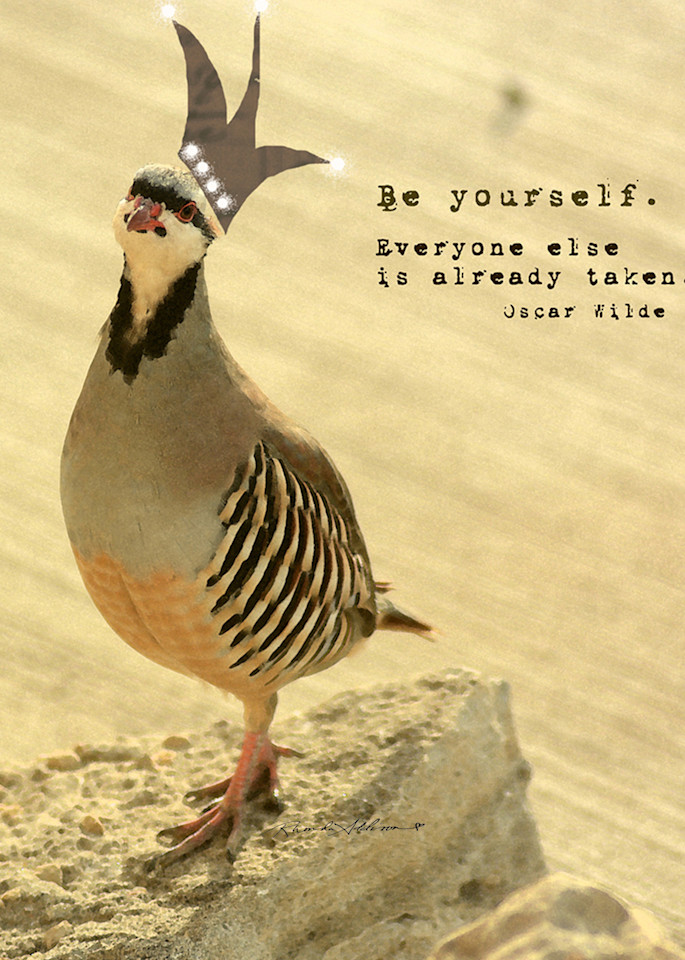 Be Yourself Bird Art