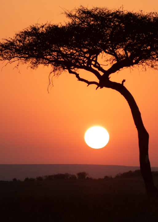 African Sunrise Photography Art | Elizabeth Fortney Photography