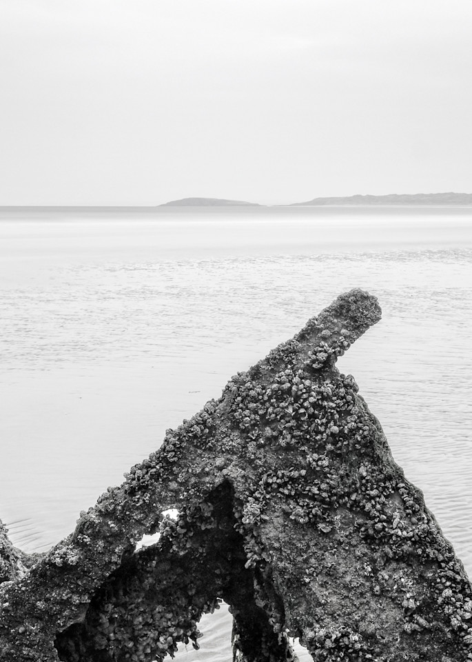 Rhossili Beach Wreck Study1 Art | Roy Fraser Photographer