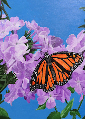 Monarch Butterfly Feeding On Phlox Art | Judy's Art Co.