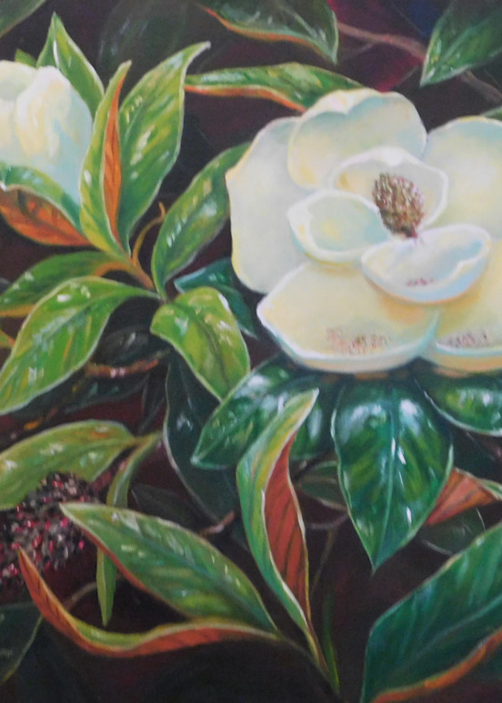 Southern Magnolia Art | Dorothy Allston Rogers