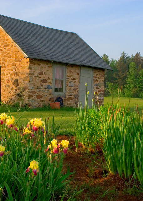 Yellow Iris Cottage Gift Items Photography Art | Sanderson Photo Art