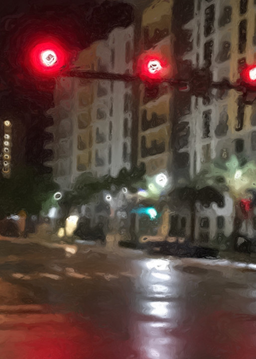 St Petersburg.Rainy Street.Palm In The Light Art | Glenn McDaniel Arts, LLC