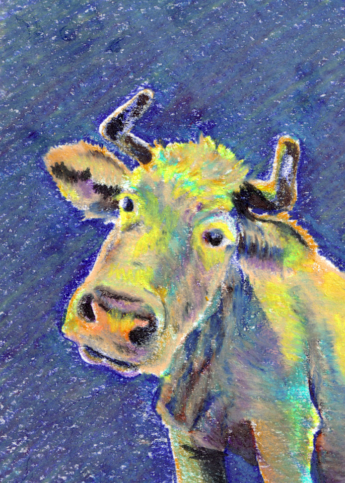 Cow Art | Jill Evans art + design