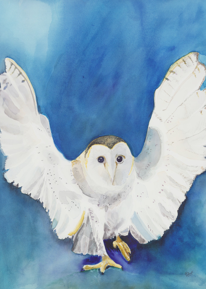 Owl Art | Jill Evans art + design