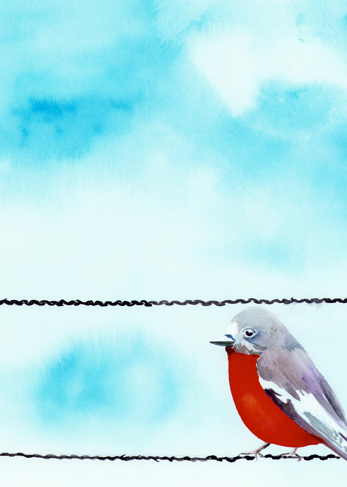 Red Bird Art | Jill Evans art + design