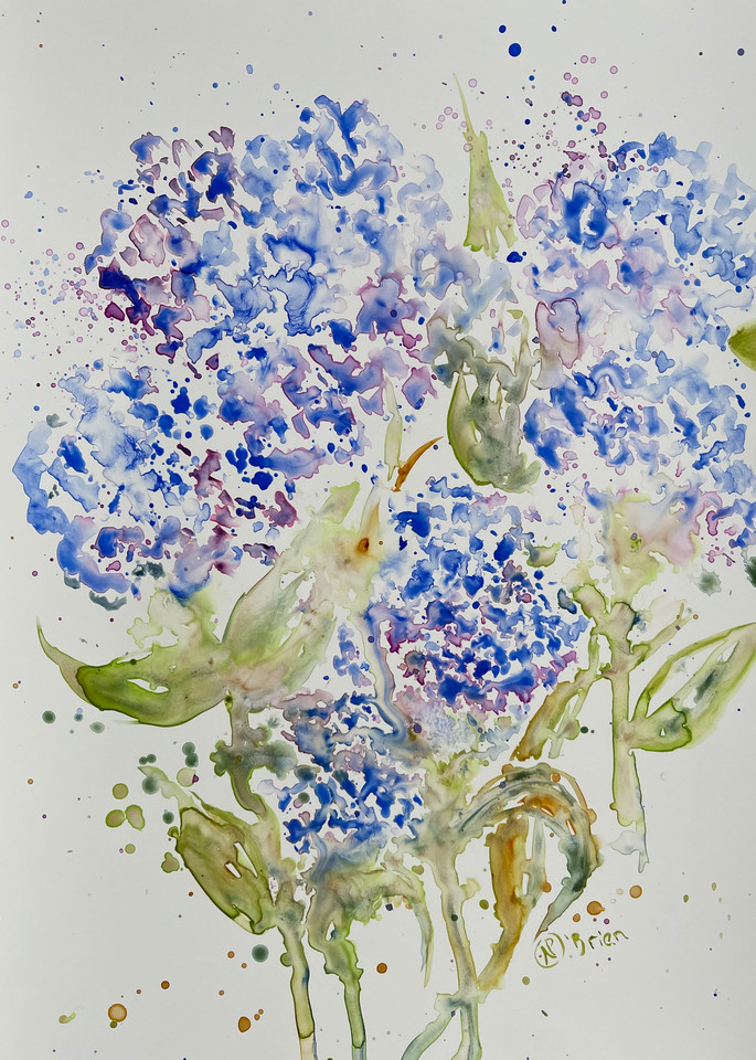 Hydrangeas Serie 2 Art | Color Splash Ranch