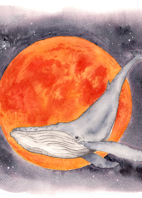 Blood Moon Whale art print