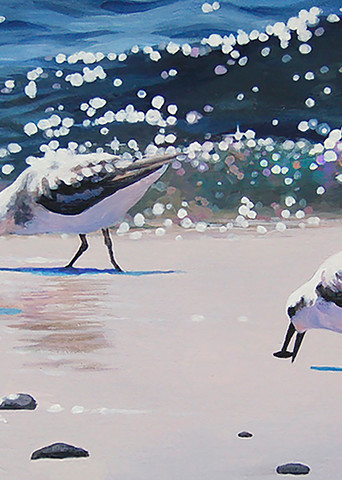 Four sanderling shorebirds on beach feeding with blue waves