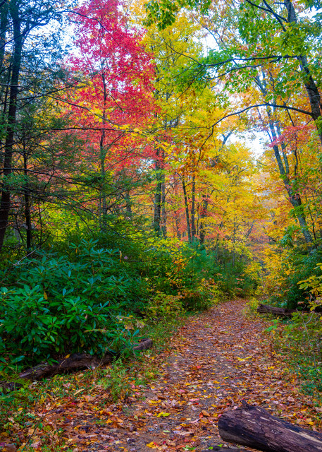 Autumn Stroll on Shope Creek Trail