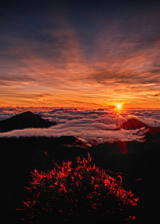 Haleakala Sunrise Iv Art | GRZ Studios