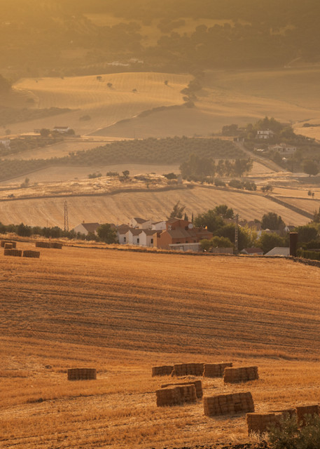 Farmland in Ronda, Spain