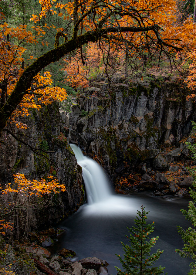 CA8607 | Daniel Rea Photography | North America - United States - California - Waterfalls