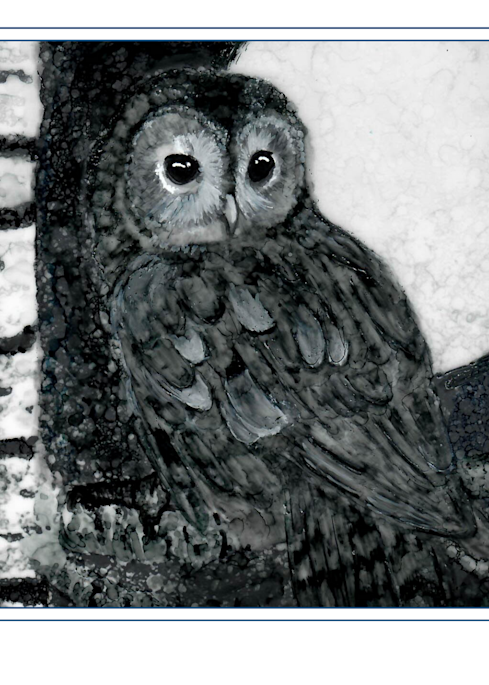 Alcohol Ink Owl  Art | Art by Virginia Crowe