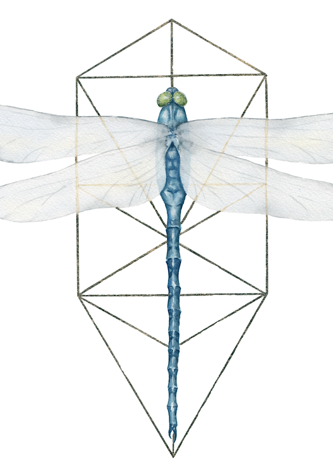 tree of life dragonfly art print