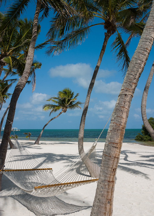 A hammock swings under palm trees on Islamorada, Florida