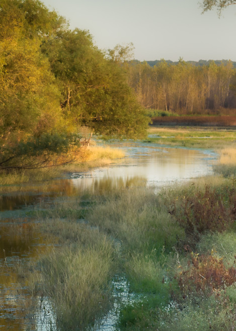 Meandering Wetlands, Boone County, Missouri Photography Art | Deni Cary Phillips Photographs