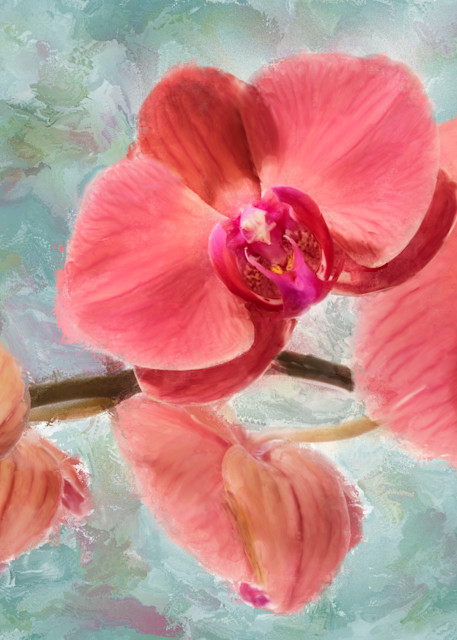 Orchid One Art | Rick Peterson Studio