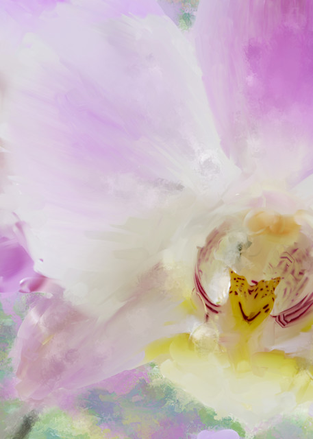 Orchid Three Art | Rick Peterson Studio