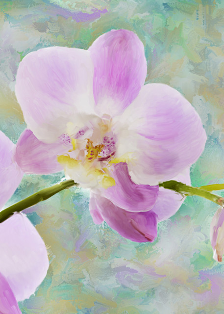 Orchid Four Art | Rick Peterson Studio